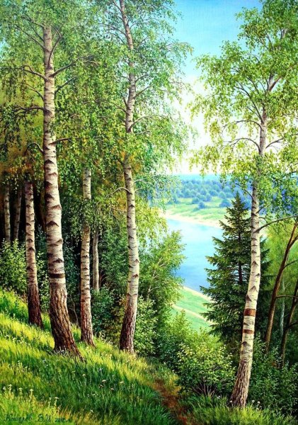 Сказочная Поляна в лесу