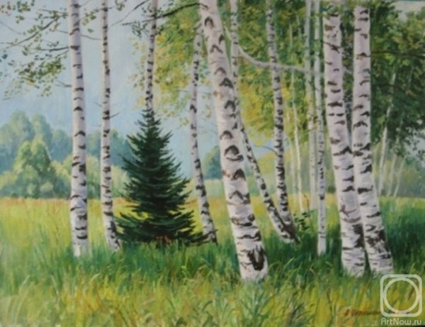 Мультяшная природа