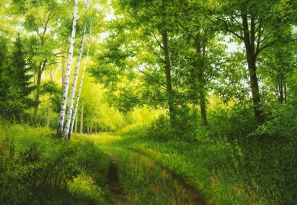 Летний лес рисунок