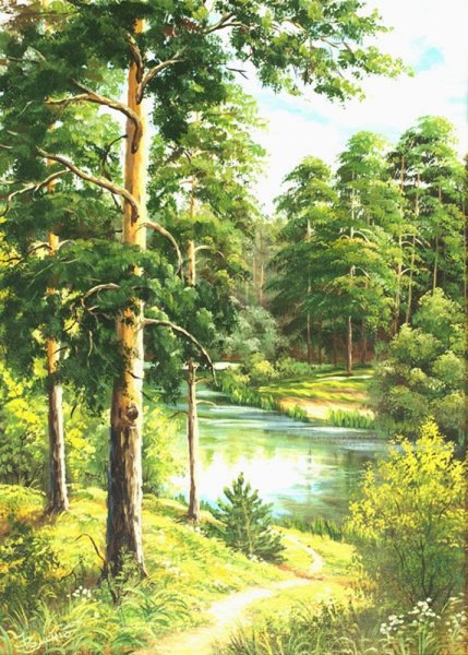 Иллюстрация леса для детей