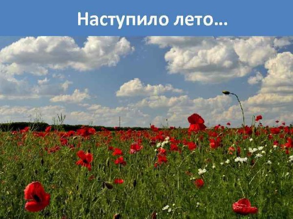 Лето наступило