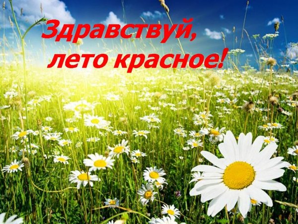 9 Июля 2021 года праздник Давид земляничник