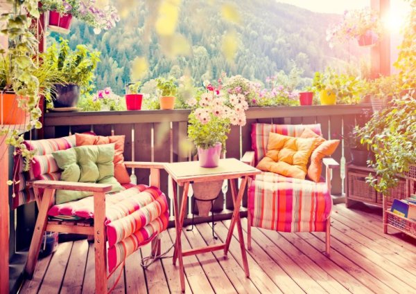 Солнечная терраса с цветами