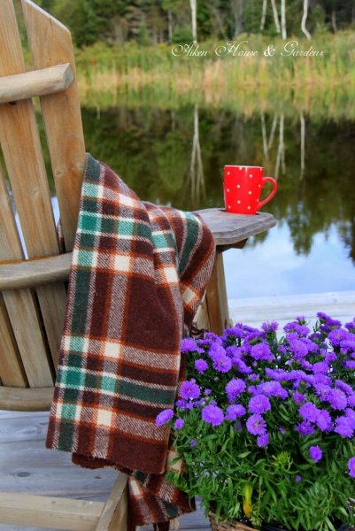 Природа уют