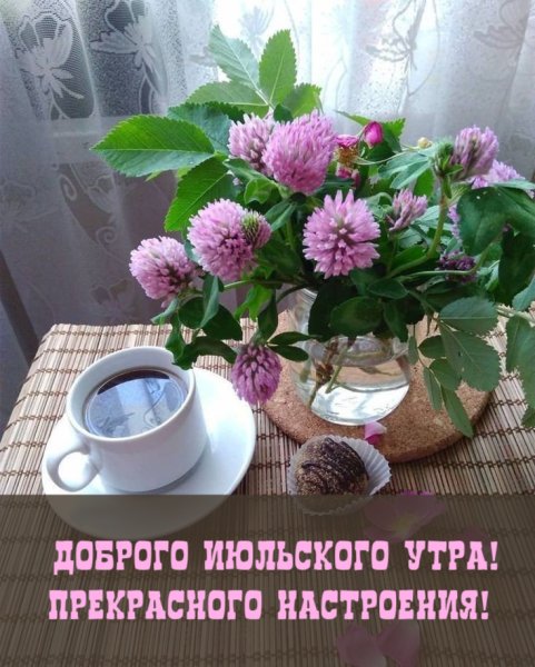 Доброе утро лето август
