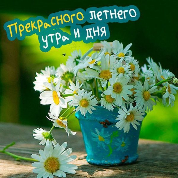 Наступил новый день