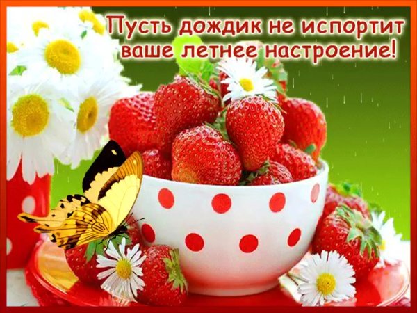 Летний день на даче