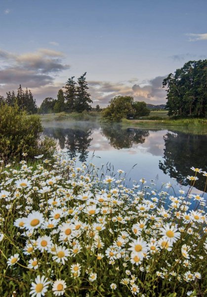 Красивые летние пейзажи
