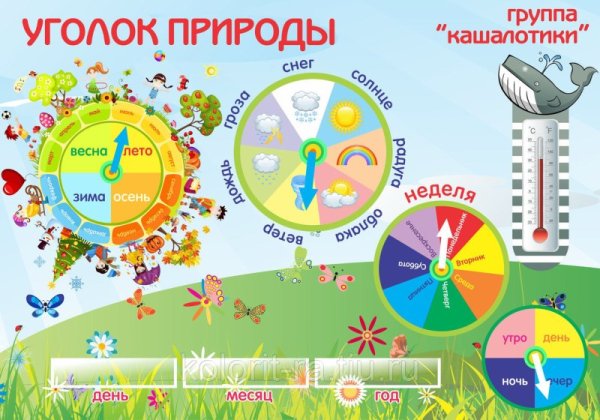 Летние месяцы для детского сада