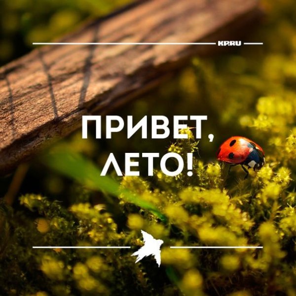 Лето, лето привет