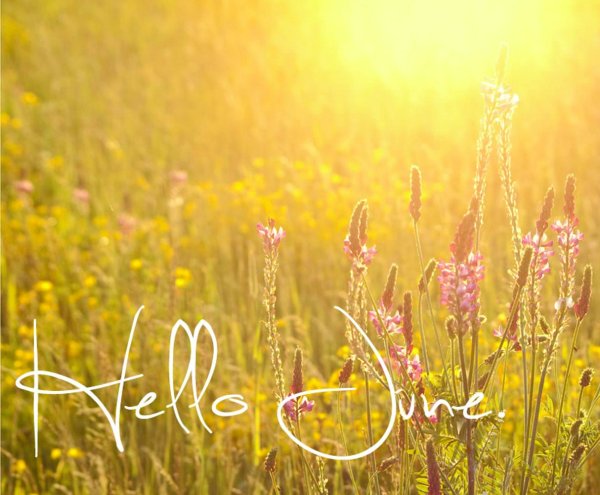 Открытки лето стильные