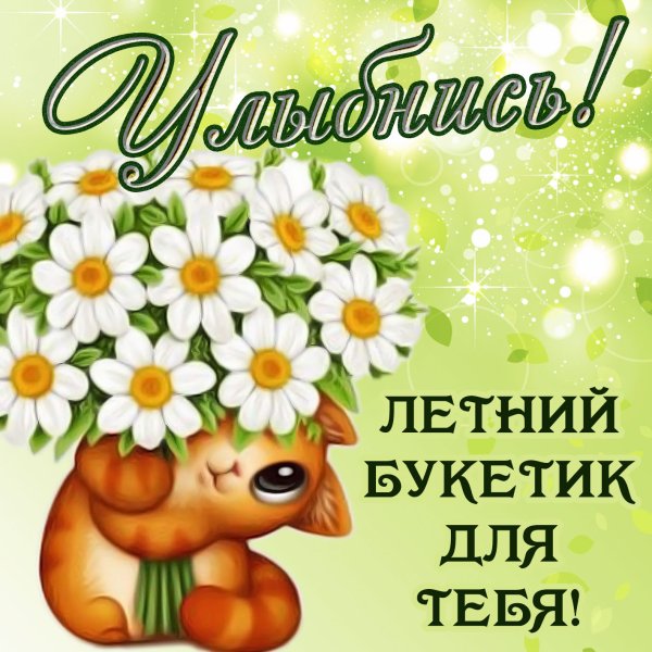 Летний приветик и хорошего дня