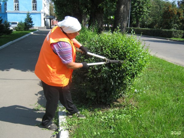 Дворник летом