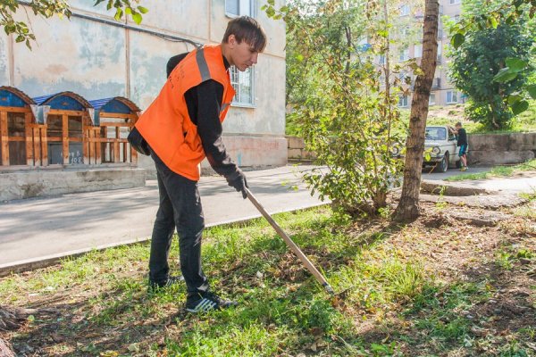 Молодой дворник
