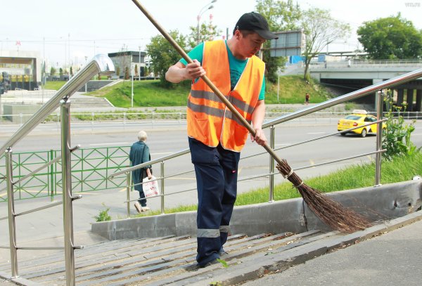 Элитный дворник