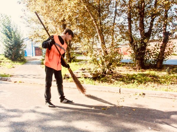 Дворник вектор