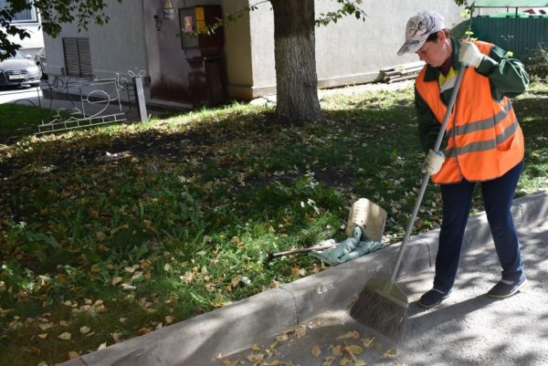 Дворник мультяшный