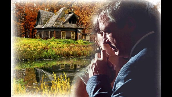 Пожилая пара в парке летом