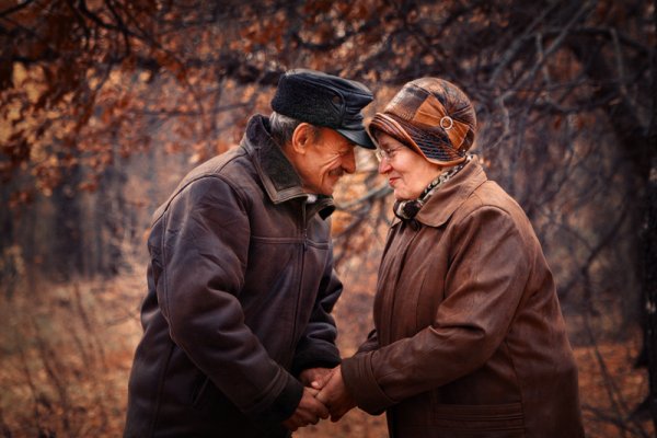 Найти родную душу