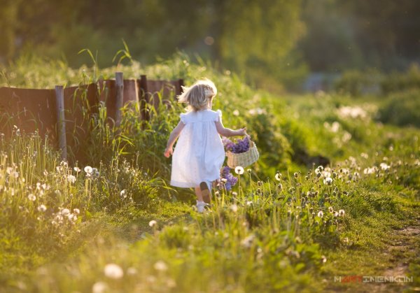 Радость в деревне