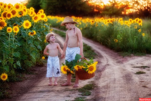 Малыш в подсолнухах