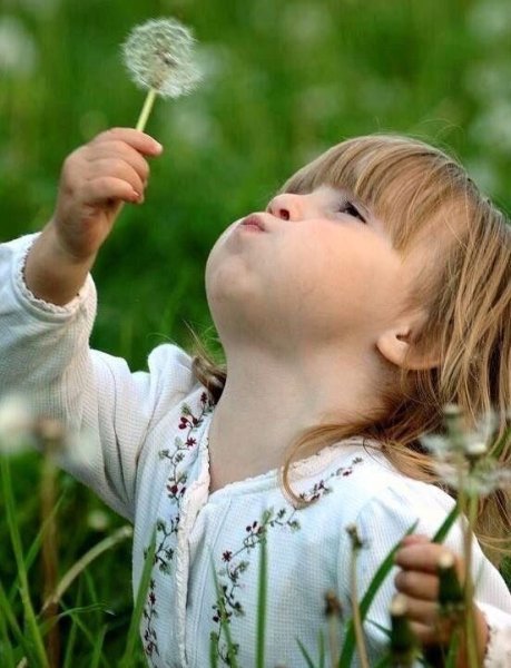 Дуть на одуванчик