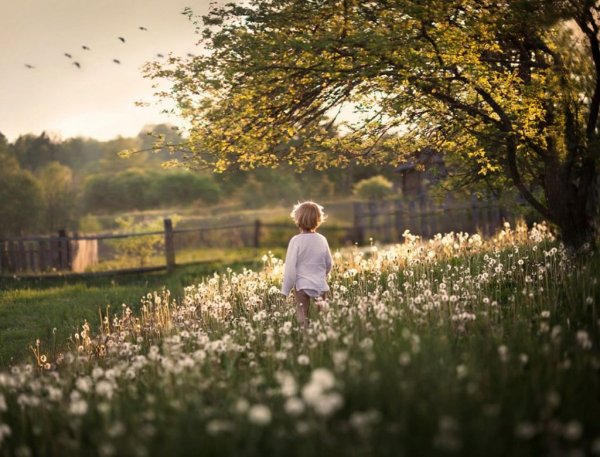 Детство природа