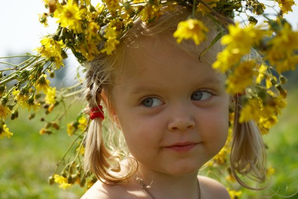 Утро дети солнце