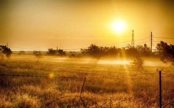 Летнее утро в деревне