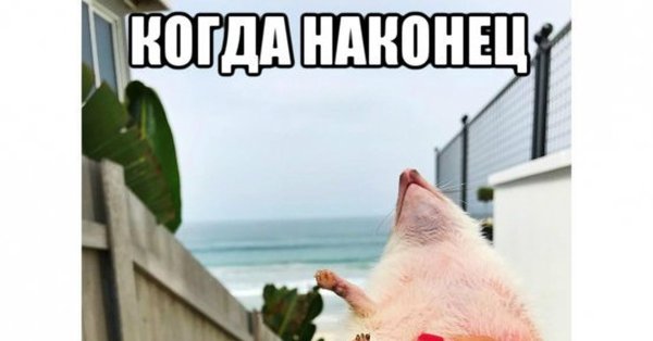 Хочется солнышка и тепла
