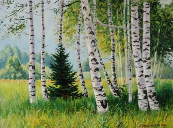 Владимир Деревенчук Березовая роща