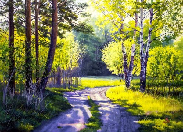 Рисунки природы