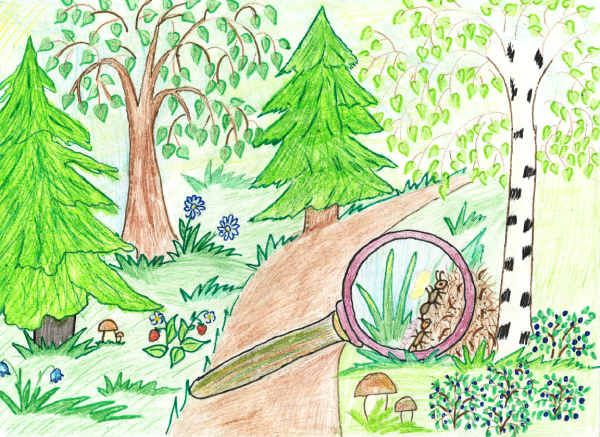 Художник Самарская Елена Михайловна картины