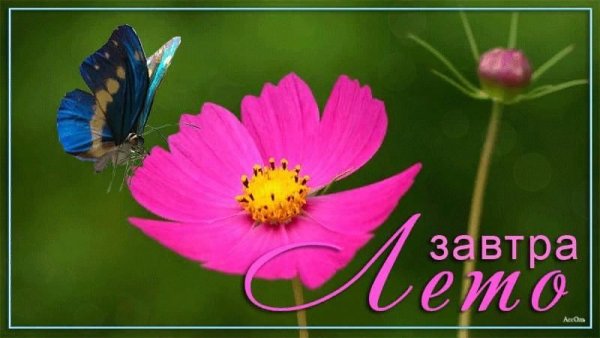 Открытки завтра лето