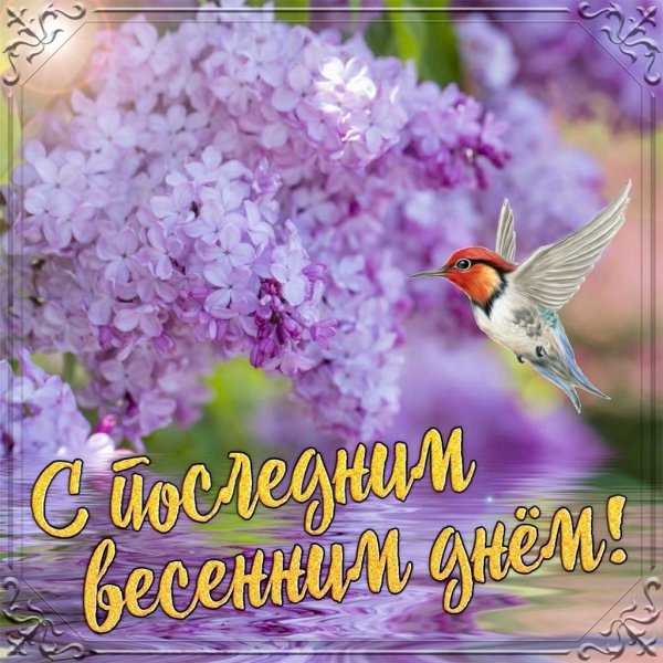 С последним весенним днем