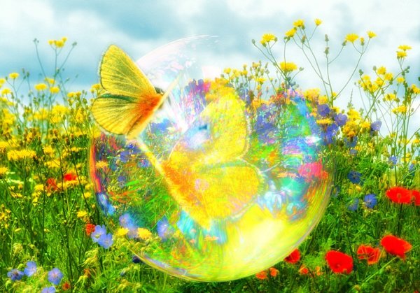 Мои мечты о лете