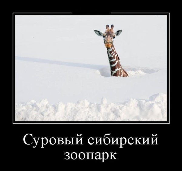Июль приколы
