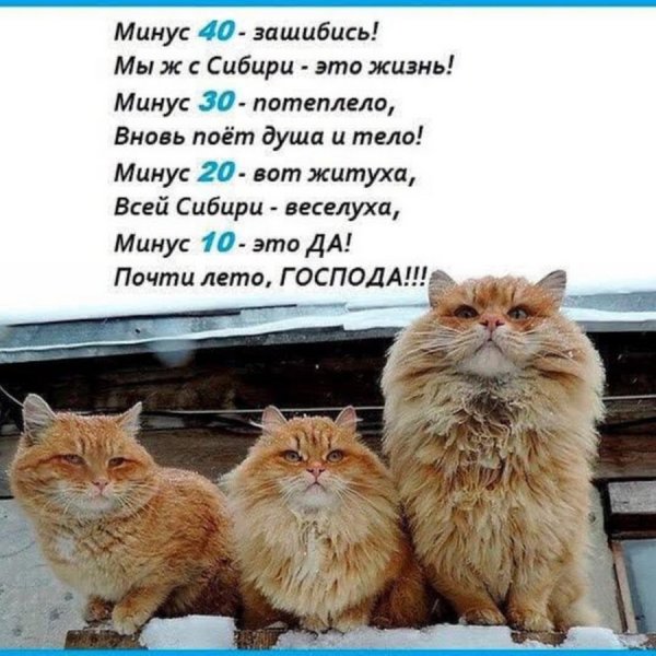 Пляж зимой