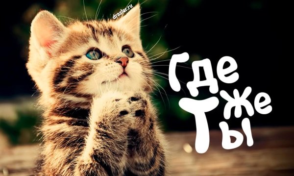 С добрым утром