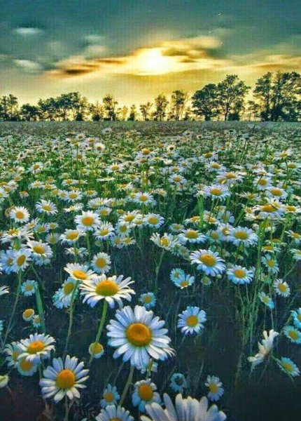 Музыкальные открытки с добрым утром