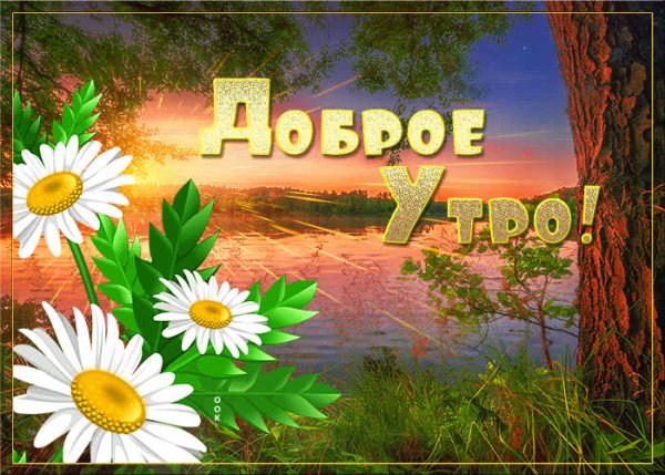 Фото для группы в ватсапе для одноклассников