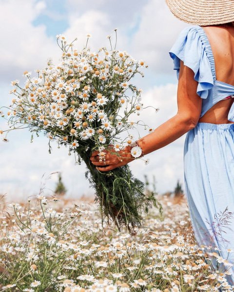 Красивые мелочи в природе