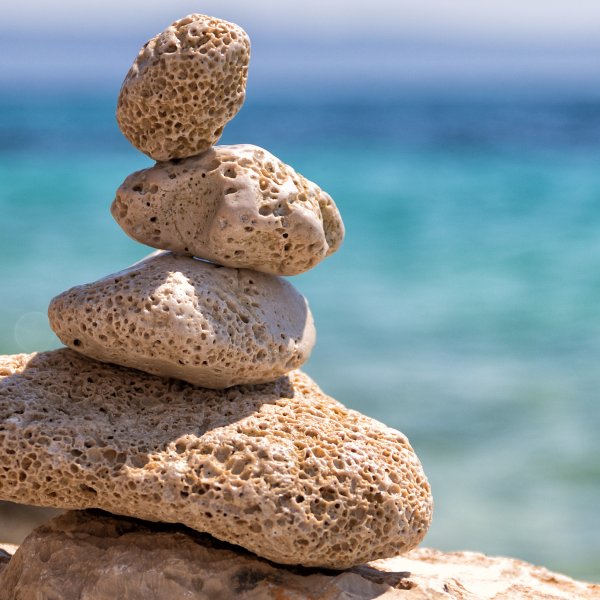 Цветы Макросъемка