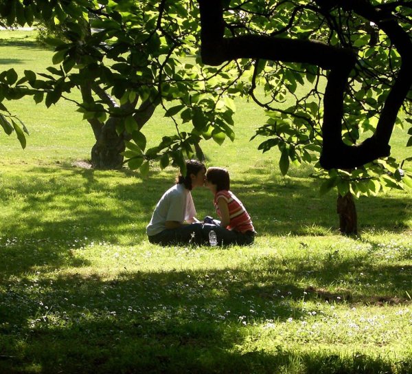 Влюбленные лежат на траве