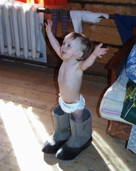 Первый день зимы карикатура