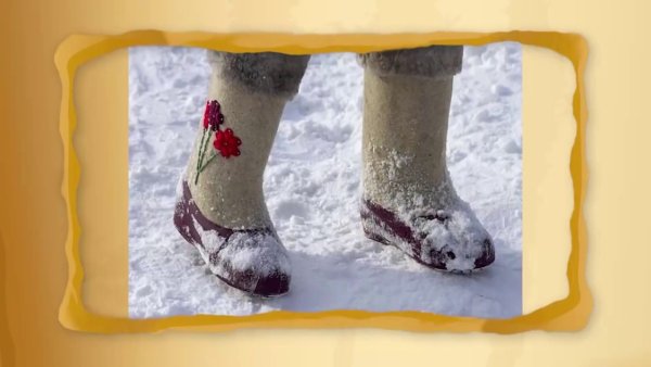 Валенки прикол