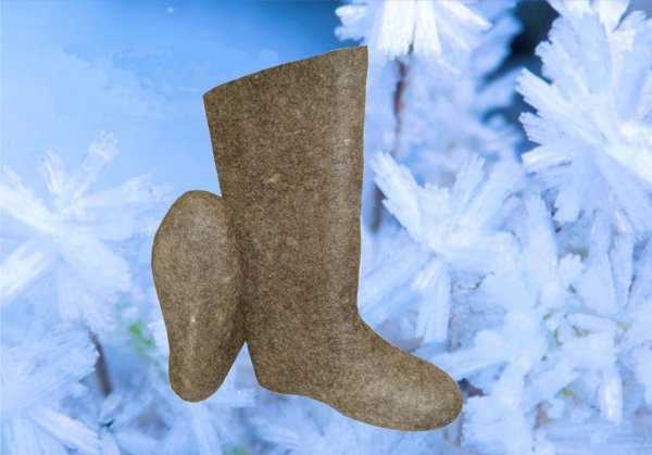 Люди в валенках