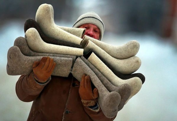 Котята в ботинке