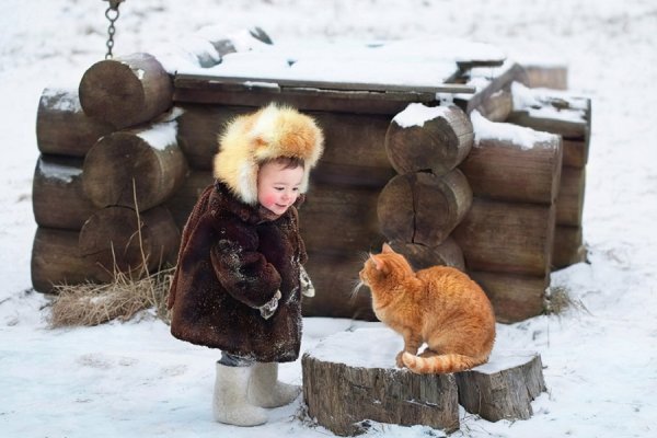 Доброта зимой