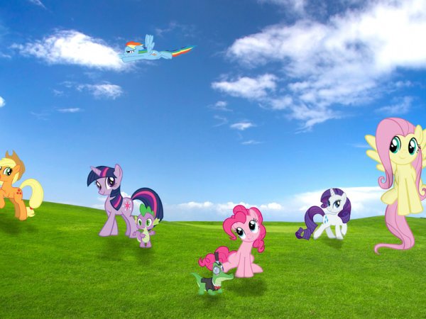 Пони Рейнбоу Дэш много